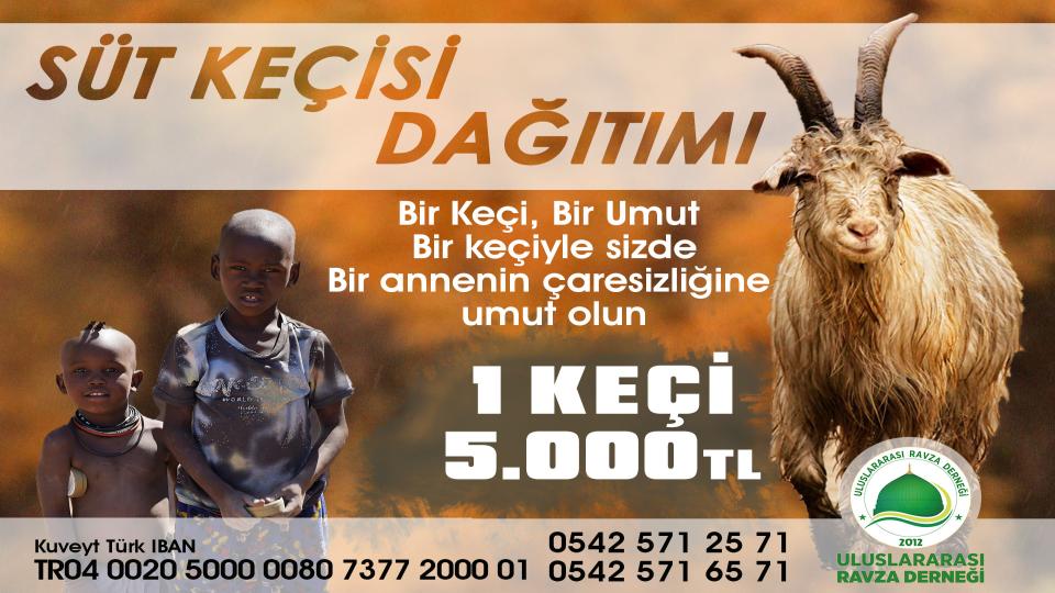 SÜT KEÇİSİ DAĞITIMI