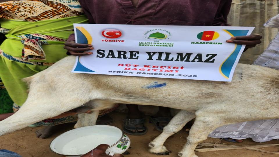 DEĞERLİ BAĞIŞÇIMIZ SARE YILMAZ HANIMEFENDİ'NİN BAĞIŞI OLAN SÜT KEÇİSİ KAMERUNDAKİ İHTİYAÇ SAHİBİ AİLEYE TESLİM EDİLDİ