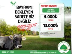 Bayramı bekleyen sadece biz değiliz…