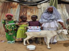 DEĞERLİ BAĞIŞÇIMIZ SARE YILMAZ HANIMEFENDİ\'NİN BAĞIŞI OLAN SÜT KEÇİSİ KAMERUNDAKİ İHTİYAÇ SAHİBİ AİLEYE TESLİM EDİLDİ