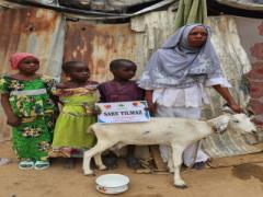 DEĞERLİ BAĞIŞÇIMIZ SARE YILMAZ HANIMEFENDİ\'NİN BAĞIŞI OLAN SÜT KEÇİSİ KAMERUNDAKİ İHTİYAÇ SAHİBİ AİLEYE TESLİM EDİLDİ